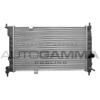 Radiateur, refroidissement du moteur AUTOGAMMA 103176