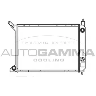 Radiateur, refroidissement du moteur AUTOGAMMA 103181
