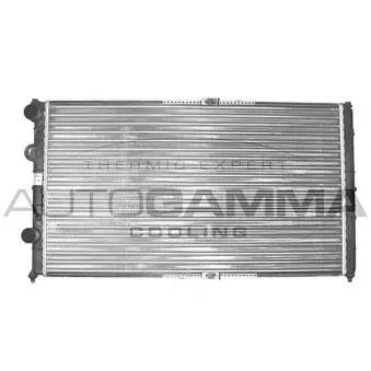 Radiateur, refroidissement du moteur AUTOGAMMA 103182