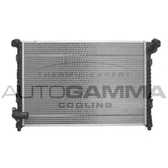Radiateur, refroidissement du moteur AUTOGAMMA 103200