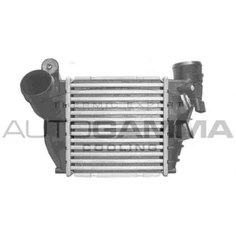 Intercooler, échangeur AUTOGAMMA 103209