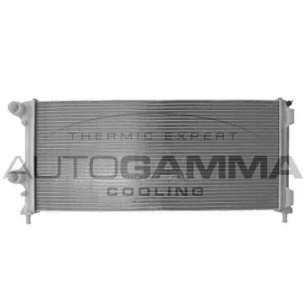 Radiateur, refroidissement du moteur AUTOGAMMA 103215
