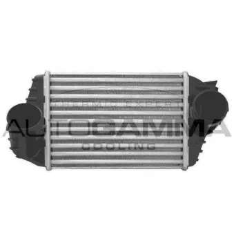 Intercooler, échangeur AUTOGAMMA 103216