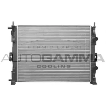 Radiateur, refroidissement du moteur AUTOGAMMA 103219