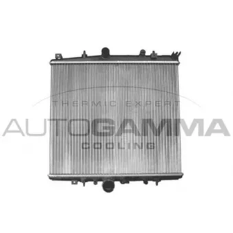 Radiateur, refroidissement du moteur AUTOGAMMA 103221