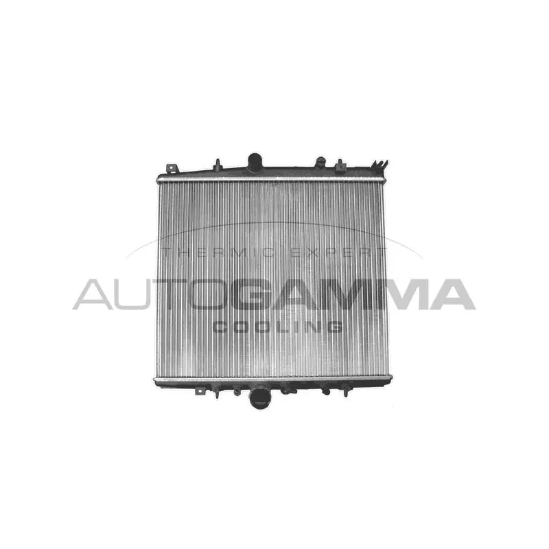 Radiateur, refroidissement du moteur AUTOGAMMA 103221