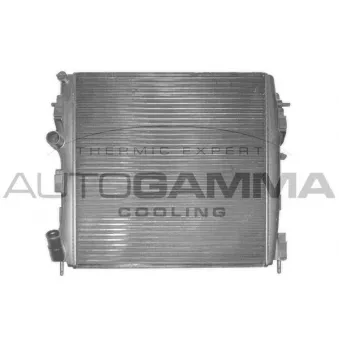 Radiateur, refroidissement du moteur AUTOGAMMA 103228