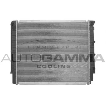 Radiateur, refroidissement du moteur AUTOGAMMA 103256