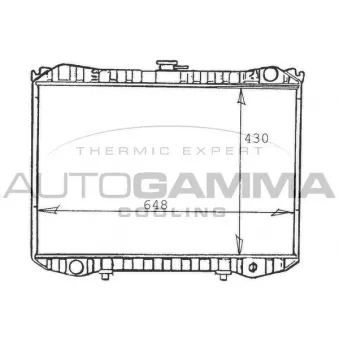 Radiateur, refroidissement du moteur AUTOGAMMA 103257