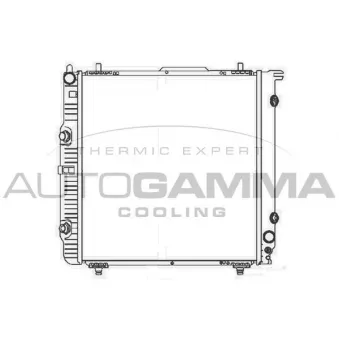 Radiateur, refroidissement du moteur AUTOGAMMA 103266