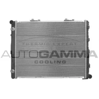 Radiateur, refroidissement du moteur AUTOGAMMA 103335