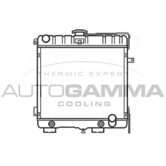 Radiateur, refroidissement du moteur AUTOGAMMA