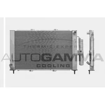 Radiateur, refroidissement du moteur AUTOGAMMA 103353