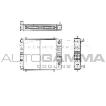 Radiateur, refroidissement du moteur AUTOGAMMA 103361