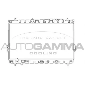 Radiateur, refroidissement du moteur AUTOGAMMA 103362