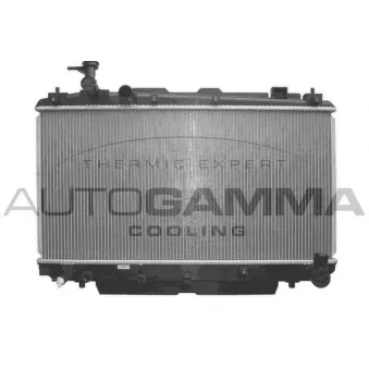 Radiateur, refroidissement du moteur AUTOGAMMA