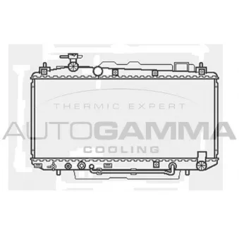 Radiateur, refroidissement du moteur AUTOGAMMA 103371