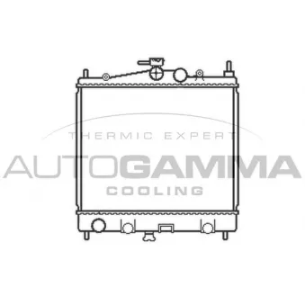 Radiateur, refroidissement du moteur AUTOGAMMA