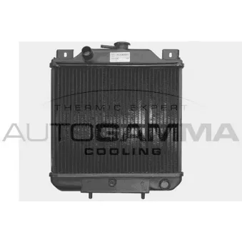 Radiateur, refroidissement du moteur AUTOGAMMA 103386