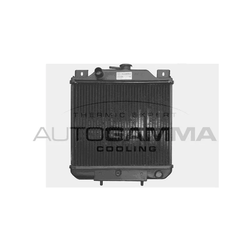 Radiateur, refroidissement du moteur AUTOGAMMA 103386