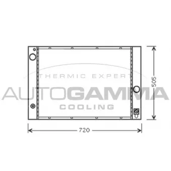 Radiateur, refroidissement du moteur AUTOGAMMA 103394