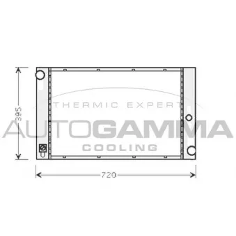 Radiateur, refroidissement du moteur AUTOGAMMA 103395