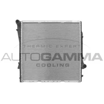 Radiateur, refroidissement du moteur AUTOGAMMA