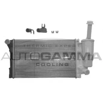 Radiateur, refroidissement du moteur AUTOGAMMA 103411