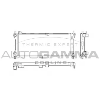 Radiateur, refroidissement du moteur AUTOGAMMA 103413