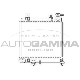 Radiateur, refroidissement du moteur AUTOGAMMA