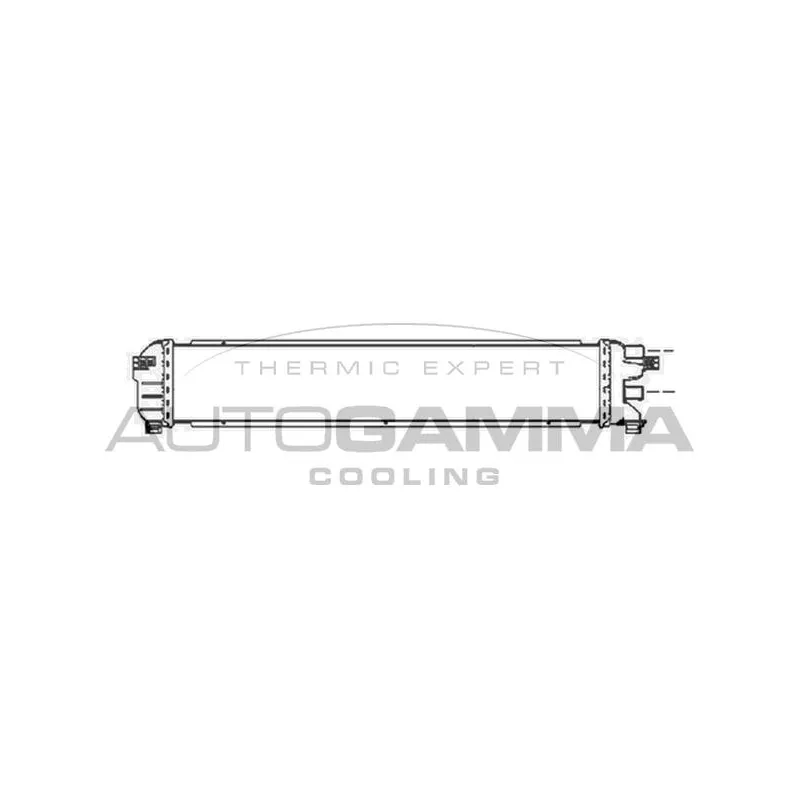 Radiateur, refroidissement du moteur AUTOGAMMA 103456