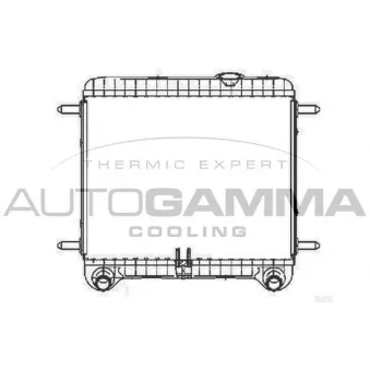 Radiateur, refroidissement du moteur AUTOGAMMA 103460