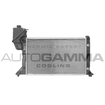 Radiateur, refroidissement du moteur AUTOGAMMA 103473