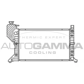 Radiateur, refroidissement du moteur AUTOGAMMA 103474