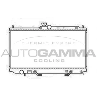 Radiateur, refroidissement du moteur AUTOGAMMA 103478