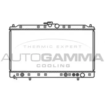 Radiateur, refroidissement du moteur AUTOGAMMA