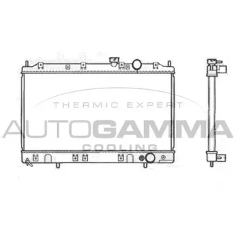 Radiateur, refroidissement du moteur AUTOGAMMA 103494