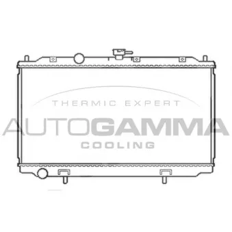 Radiateur, refroidissement du moteur AUTOGAMMA 103497