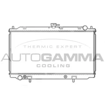 Radiateur, refroidissement du moteur AUTOGAMMA 103500