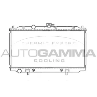 Radiateur, refroidissement du moteur AUTOGAMMA 103501