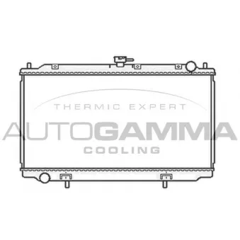 Radiateur, refroidissement du moteur AUTOGAMMA 103502