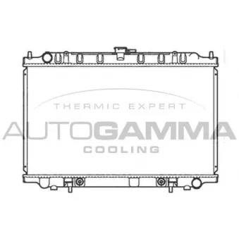 Radiateur, refroidissement du moteur AUTOGAMMA