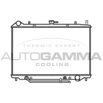 Radiateur, refroidissement du moteur AUTOGAMMA 103516