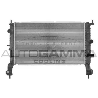 Radiateur, refroidissement du moteur AUTOGAMMA