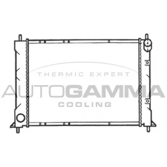 Radiateur, refroidissement du moteur AUTOGAMMA 103550
