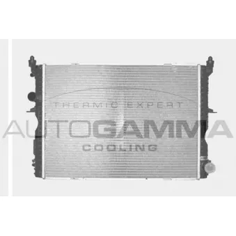 Radiateur, refroidissement du moteur AUTOGAMMA 103555
