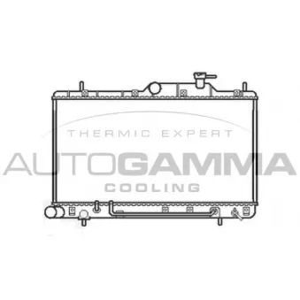 Radiateur, refroidissement du moteur AUTOGAMMA 103558