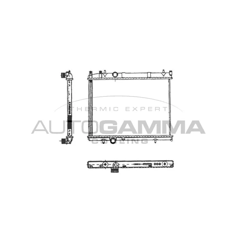 Radiateur, refroidissement du moteur AUTOGAMMA 103568