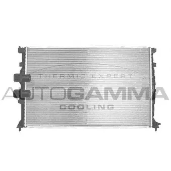 Radiateur, refroidissement du moteur AUTOGAMMA 103577