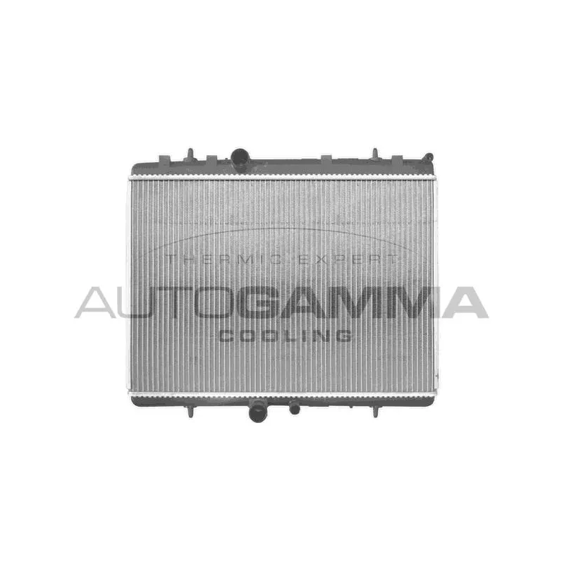 Radiateur, refroidissement du moteur AUTOGAMMA 103588